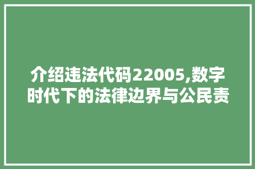 介绍违法代码22005,数字时代下的法律边界与公民责任