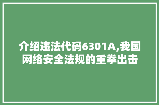 介绍违法代码6301A,我国网络安全法规的重拳出击