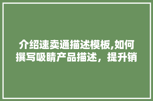 介绍速卖通描述模板,如何撰写吸睛产品描述，提升销量