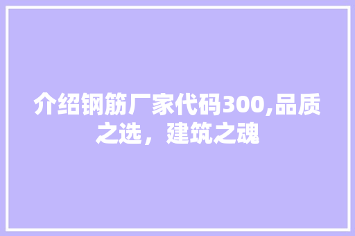 介绍钢筋厂家代码300,品质之选，建筑之魂