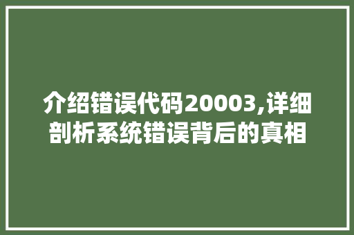 介绍错误代码20003,详细剖析系统错误背后的真相