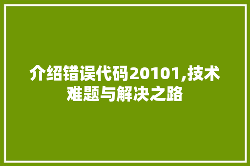 介绍错误代码20101,技术难题与解决之路