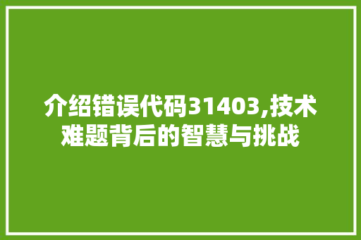 介绍错误代码31403,技术难题背后的智慧与挑战