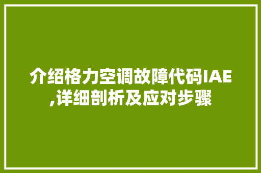 介绍格力空调故障代码IAE,详细剖析及应对步骤