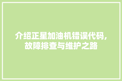 介绍正星加油机错误代码,故障排查与维护之路