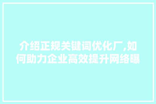 介绍正规关键词优化厂,如何助力企业高效提升网络曝光度