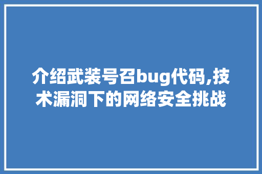 介绍武装号召bug代码,技术漏洞下的网络安全挑战