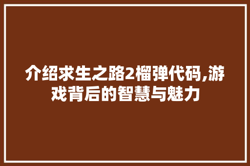 介绍求生之路2榴弹代码,游戏背后的智慧与魅力