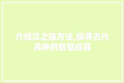 介绍汉之殇方法,探寻古代兵种的智慧结晶