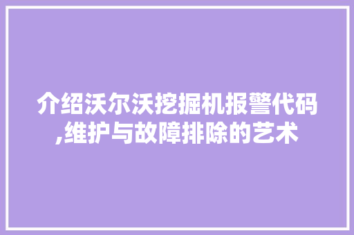 介绍沃尔沃挖掘机报警代码,维护与故障排除的艺术