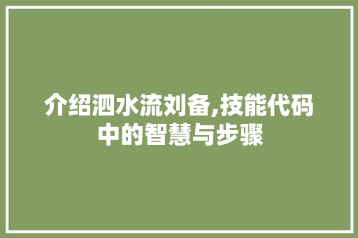 介绍泗水流刘备,技能代码中的智慧与步骤