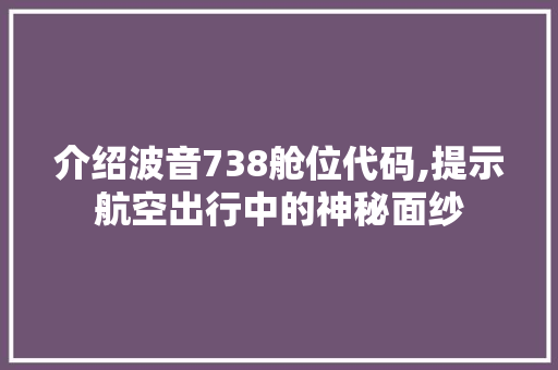 介绍波音738舱位代码,提示航空出行中的神秘面纱