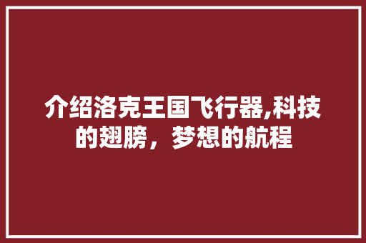 介绍洛克王国飞行器,科技的翅膀，梦想的航程