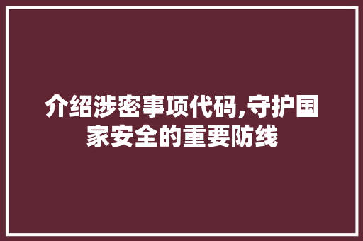 介绍涉密事项代码,守护国家安全的重要防线