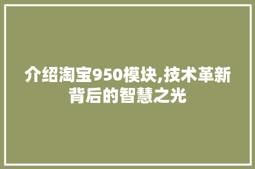 介绍淘宝950模块,技术革新背后的智慧之光