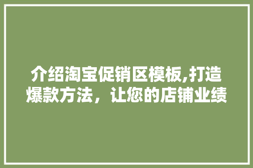 介绍淘宝促销区模板,打造爆款方法，让您的店铺业绩飙升！