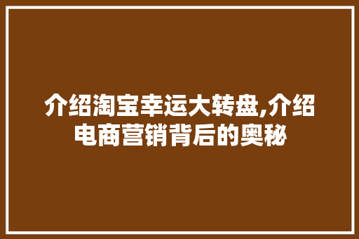 介绍淘宝幸运大转盘,介绍电商营销背后的奥秘