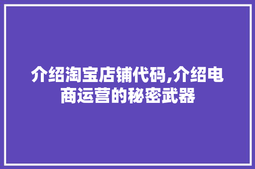 介绍淘宝店铺代码,介绍电商运营的秘密武器