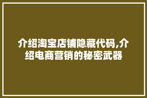 介绍淘宝店铺隐藏代码,介绍电商营销的秘密武器