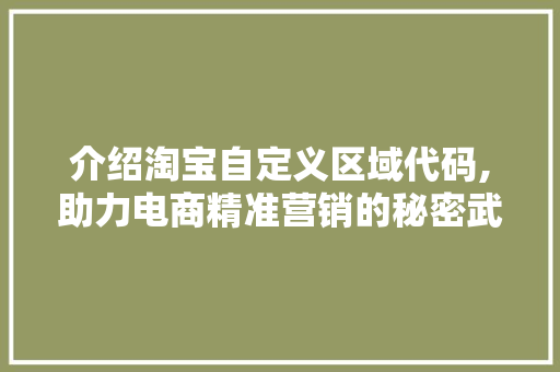 介绍淘宝自定义区域代码,助力电商精准营销的秘密武器