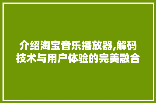 介绍淘宝音乐播放器,解码技术与用户体验的完美融合