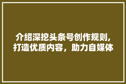 介绍深挖头条号创作规则,打造优质内容，助力自媒体成长