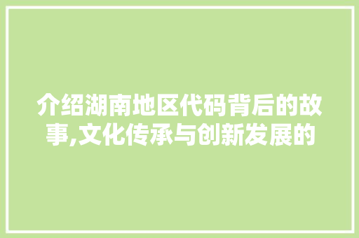 介绍湖南地区代码背后的故事,文化传承与创新发展的交织