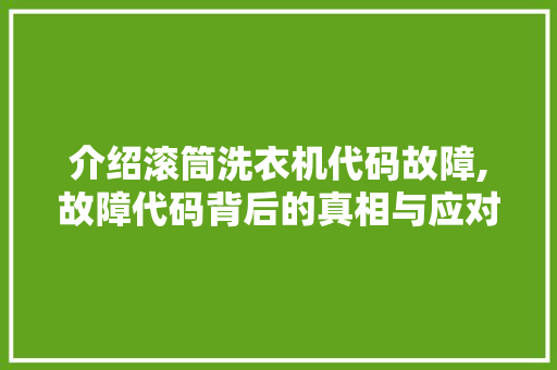 介绍滚筒洗衣机代码故障,故障代码背后的真相与应对步骤