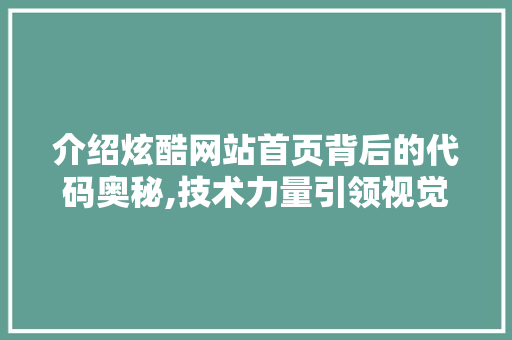 介绍炫酷网站首页背后的代码奥秘,技术力量引领视觉盛宴