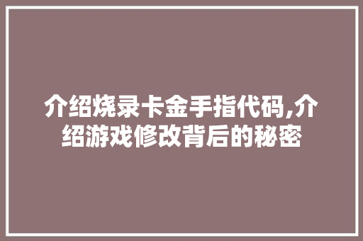 介绍烧录卡金手指代码,介绍游戏修改背后的秘密