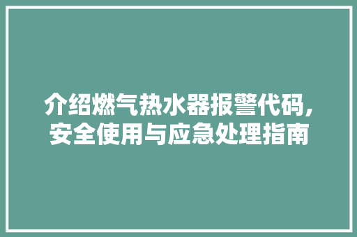 介绍燃气热水器报警代码,安全使用与应急处理指南