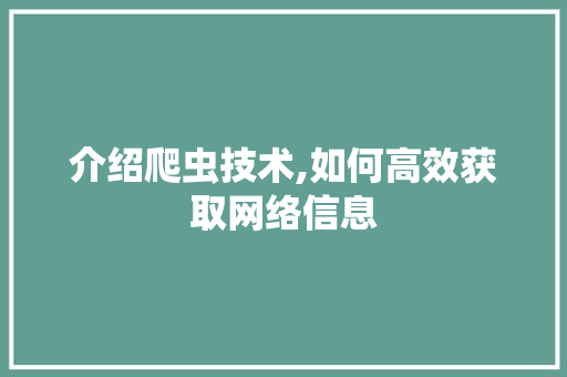 介绍爬虫技术,如何高效获取网络信息