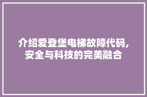 介绍爱登堡电梯故障代码,安全与科技的完美融合