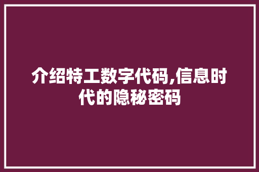 介绍特工数字代码,信息时代的隐秘密码