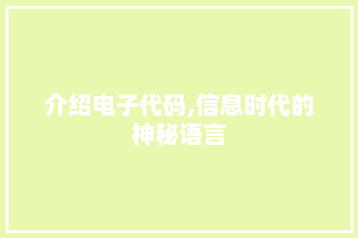 介绍电子代码,信息时代的神秘语言