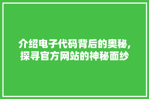 介绍电子代码背后的奥秘,探寻官方网站的神秘面纱