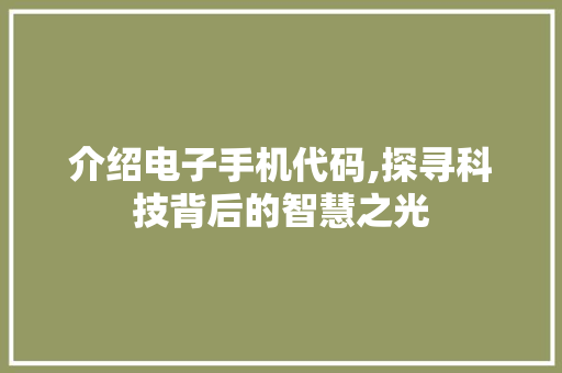 介绍电子手机代码,探寻科技背后的智慧之光