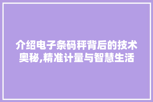 介绍电子条码秤背后的技术奥秘,精准计量与智慧生活的完美融合