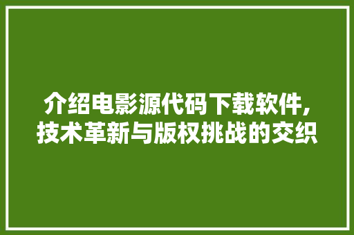 介绍电影源代码下载软件,技术革新与版权挑战的交织