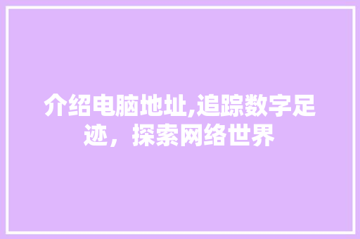 介绍电脑地址,追踪数字足迹，探索网络世界