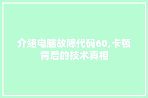 介绍电脑故障代码60,卡顿背后的技术真相