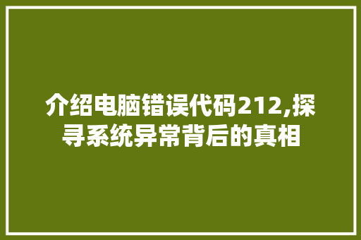 介绍电脑错误代码212,探寻系统异常背后的真相