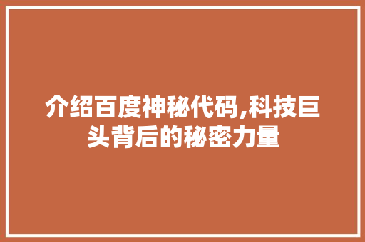 介绍百度神秘代码,科技巨头背后的秘密力量