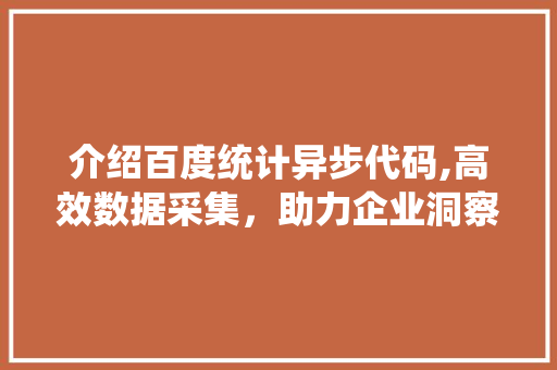 介绍百度统计异步代码,高效数据采集，助力企业洞察市场脉搏