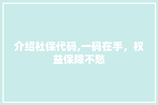 介绍社保代码,一码在手，权益保障不愁