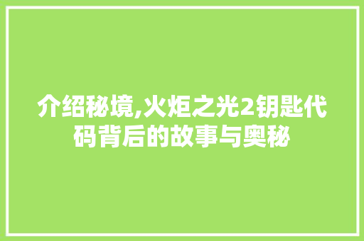 介绍秘境,火炬之光2钥匙代码背后的故事与奥秘