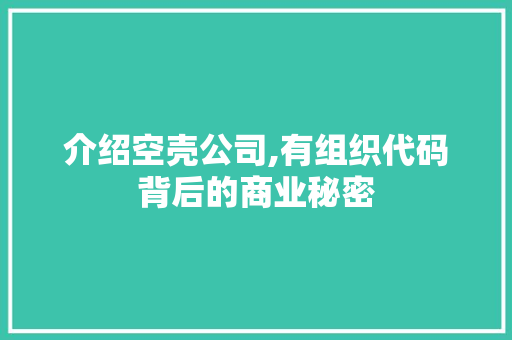 介绍空壳公司,有组织代码背后的商业秘密