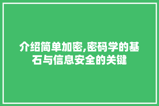 介绍简单加密,密码学的基石与信息安全的关键