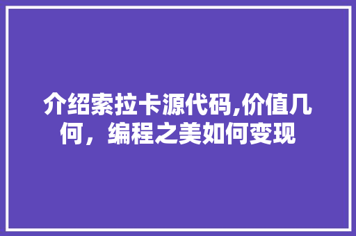 介绍索拉卡源代码,价值几何，编程之美如何变现