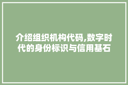 介绍组织机构代码,数字时代的身份标识与信用基石